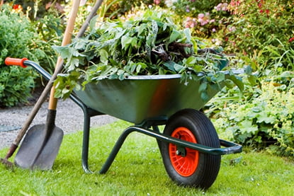 green waste removal